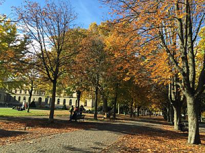 2015-10-29_14-09-06