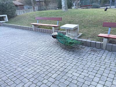 2015-03-07_18-07-27