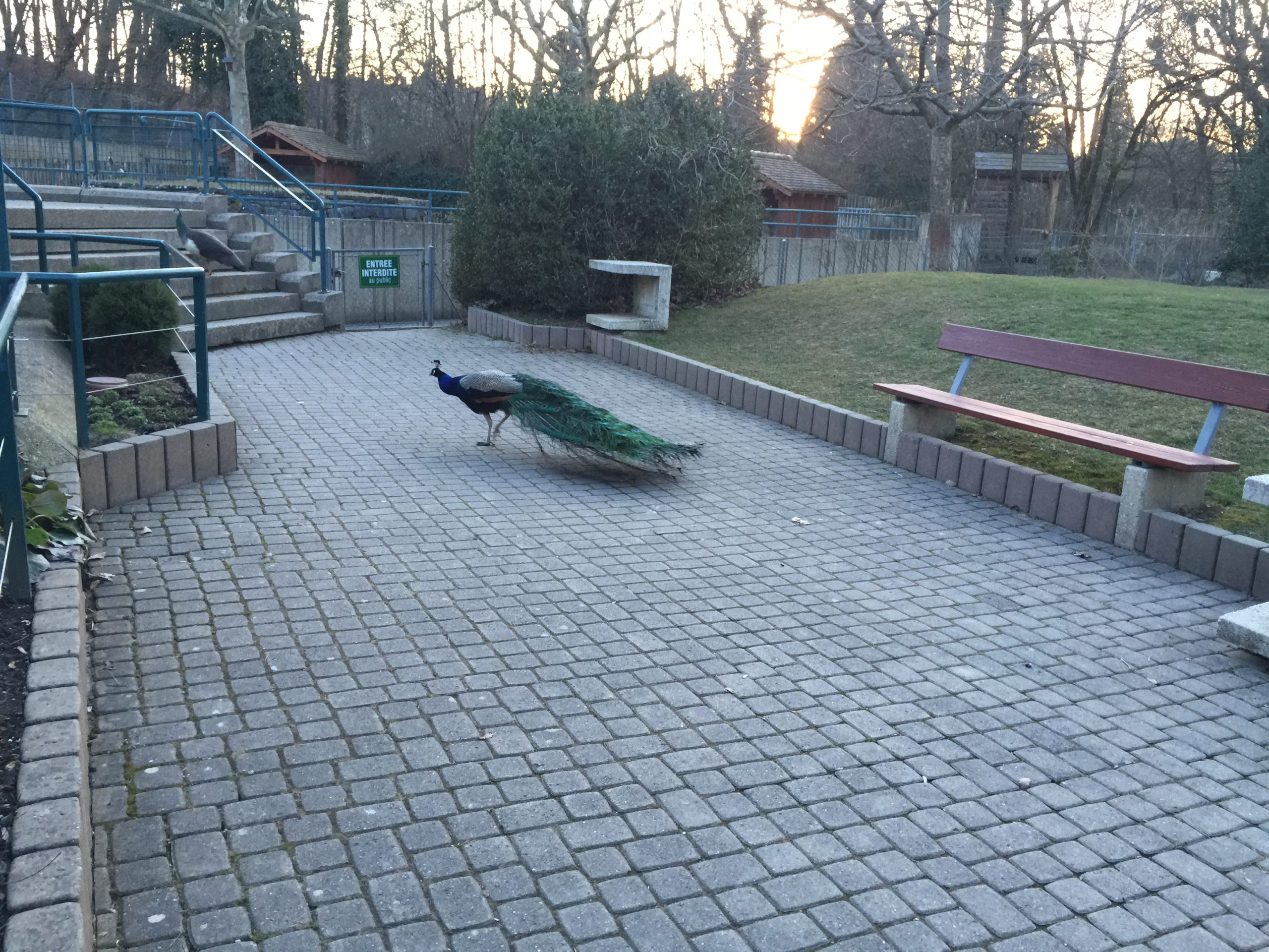 2015-03-07_18-07-36