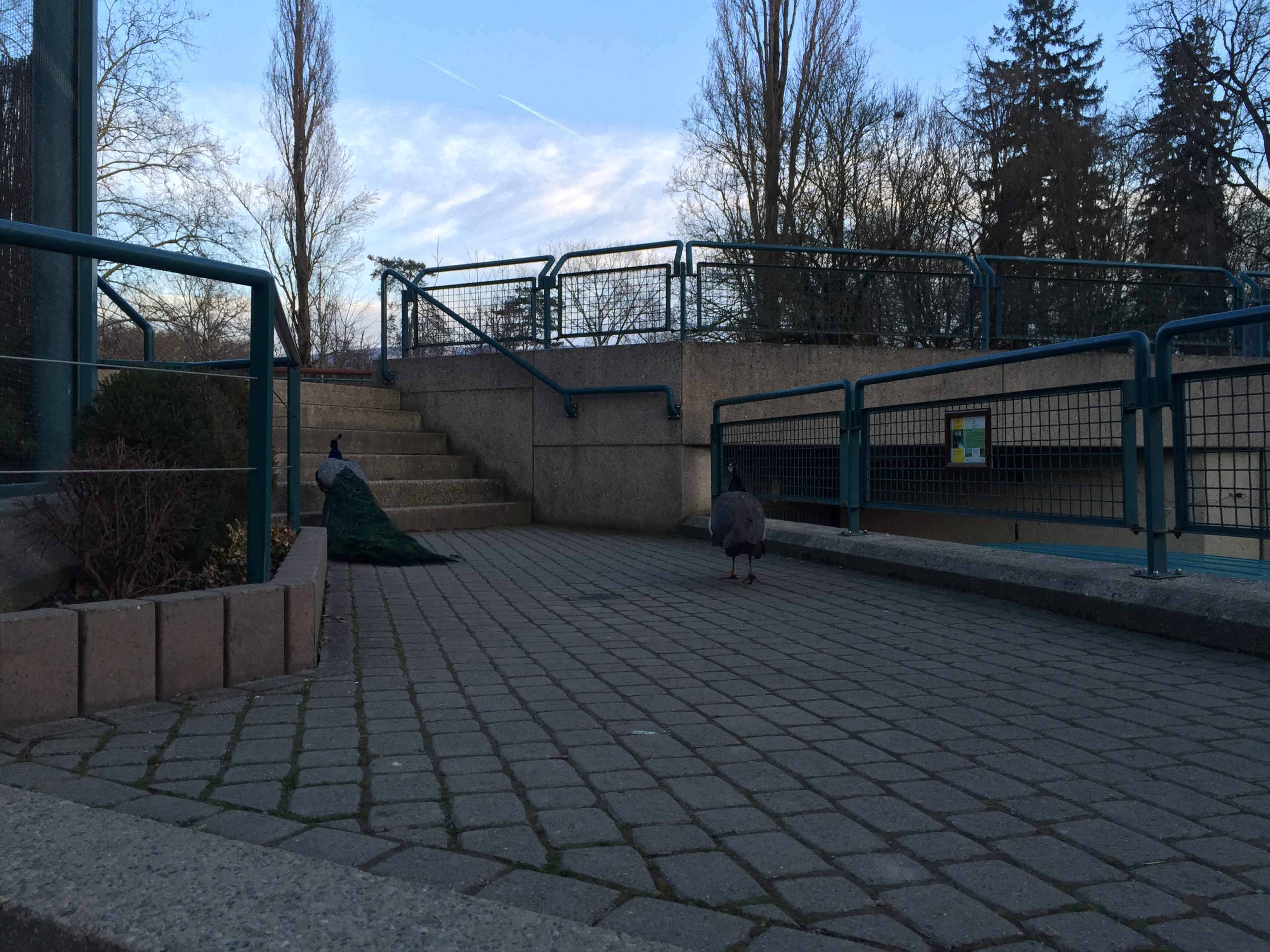 2015-03-07_18-07-56