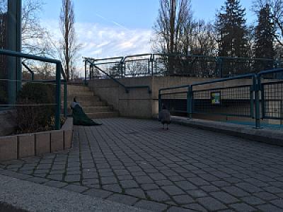 2015-03-07_18-07-56