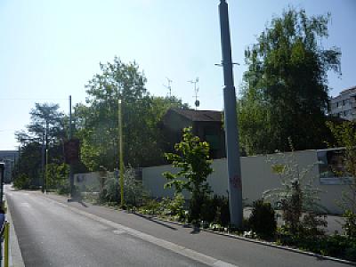 2009-05-01_09-19-01