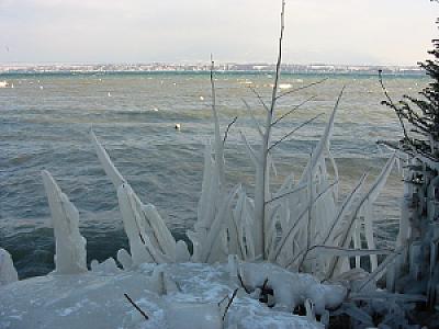 2005-01-29_16-41-46