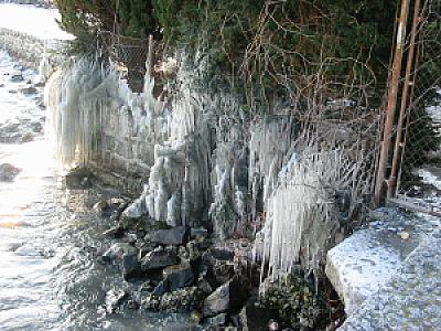 2005-01-29_16-46-11