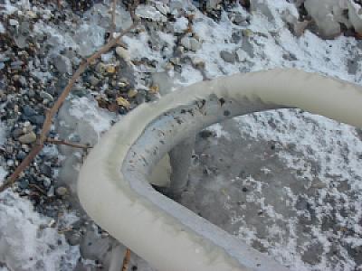 2005-01-29_16-58-49
